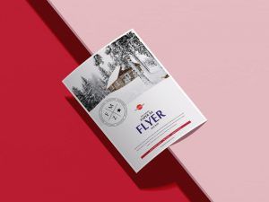 A4 size flyer mockup Free Download