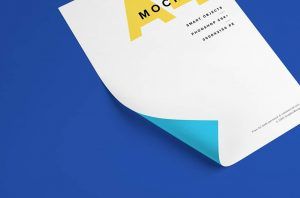 A4 size flyer mockup Free Download